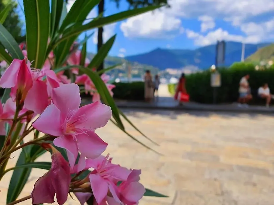 Appartement Plaza Deluxe Modern Center House - View Como Lake - Top Privacy